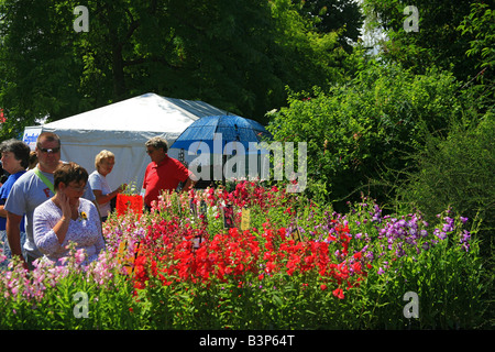 Pressione di stallo di piante a Taunton Flower Show, Somerset, Inghilterra, Regno Unito Foto Stock