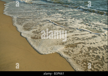 Costa Baltica lavaggio onde su una spiaggia a Nida nel Curonian Spit Parco Nazionale della Lituania Foto Stock