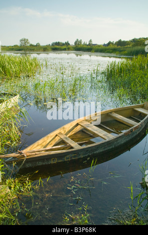 Naufragio barca ormeggiata in un ingresso sul Lago di Tyla Birzai nord della Lituania Foto Stock