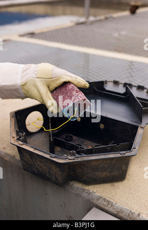 Un sterminatore equipaggia un rat trap con veleno di ratto, Germania, Europa Foto Stock