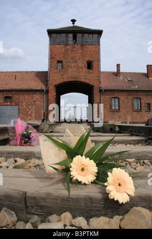 Omaggio floreale sulla linea da Hell's Gate; l'ingresso principale al Campo di Concentramento di Auschwitz-Birkenau, nei pressi di Cracovia in Polonia Foto Stock