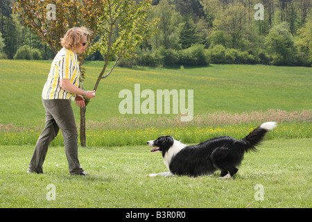 Donna con Border Collie Foto Stock