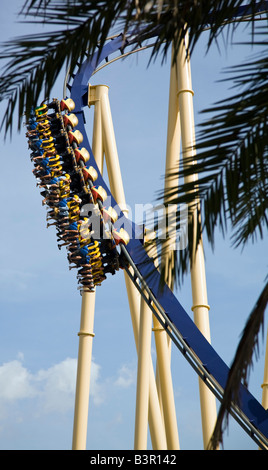 I piloti sul Montu sospeso roller coaster nel Parco a Tema dei Giardini di Busch, Florida, Stati Uniti d'America Foto Stock