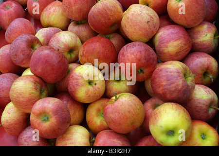 Le mele rosse per la vendita sul mercato di Beaune, Borgogna Francia 10159 Orizzontale Mele Foto Stock