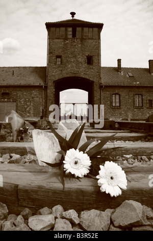 Omaggio floreale sulla linea a Hell's Gate; l'ingresso principale al Campo di Concentramento di Auschwitz-Birkenau, nr. Cracovia in Polonia Foto Stock
