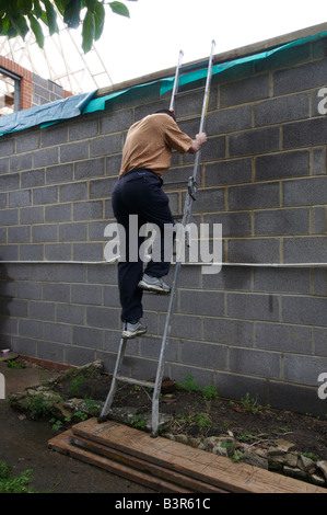 L'uomo salendo la scala appoggiata contro un muro di mattoni in piedi precariamente su 3 assi in legno - La salute e la sicurezza Foto Stock