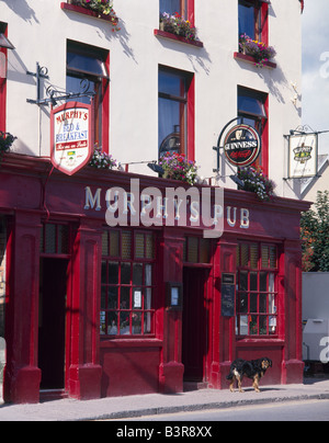 Murphys Pub, Dingle, nella contea di kerry, munster, irlanda Foto Stock