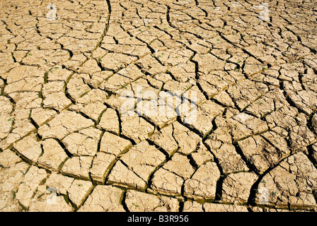 Fango incrinato in un fiume secco Foto Stock