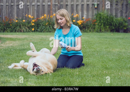 Teen ragazza cercando di sposo il suo cane non cooperativo Foto Stock