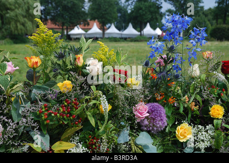 Fiori in mostra al bi annuale festival di Rose Lottum Limburgo, Paesi Bassi Foto Stock