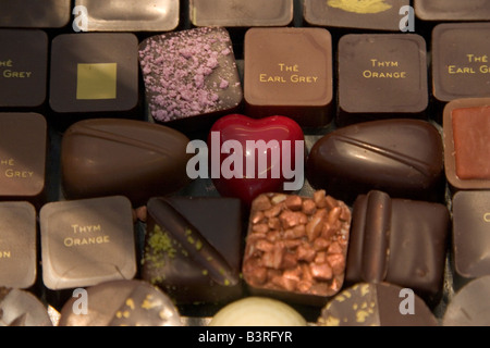 La scelta era ampia e la gamma di lusso di cioccolato belga esposti per la vendita in negozio popolare Pierre Marcolini a Bruxelles Belgio Foto Stock