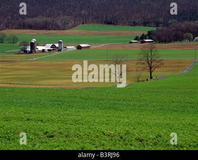 Campi e fienili in primavera, valle vasta azienda agricola; Dairy Farm nei pressi di State College, Pennsylvania, Stati Uniti d'America Foto Stock