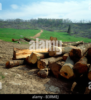 Registrazione di striscia vicino LISTONBERG, SOMERSET COUNTY, Pennsylvania, Stati Uniti d'America Foto Stock
