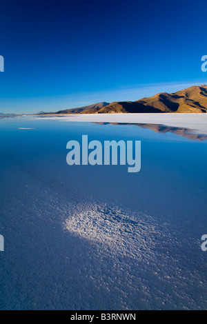 Bolivia Altiplano meridionale Salar de Uyuni i mondi più grande e il più alto distesa di sale del Salar de Uyuni visualizzati all'alba Foto Stock