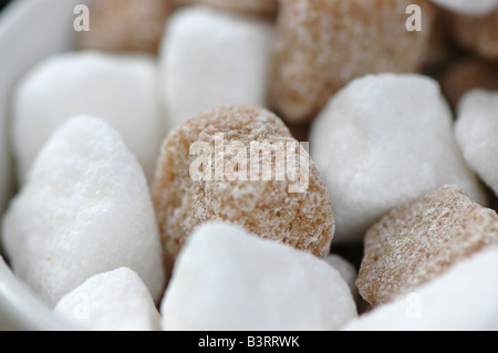 Una ciotola di alcuni marrone e bianco suger grumi Foto Stock