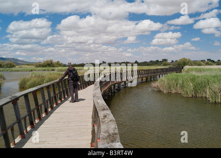 Il Boardwalk in Tablas de Daimiel Parco Nazionale di La Mancha Spagna Foto Stock