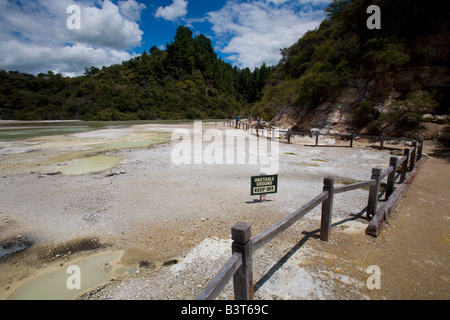 Pool di champagne al sito geotermico, Wai-O-Tapu Thermal Wonderland sull Isola del nord della Nuova Zelanda Foto Stock