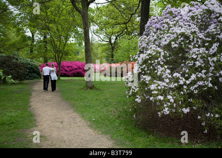Isabella Plantation, Richmond Park, Londra Foto Stock