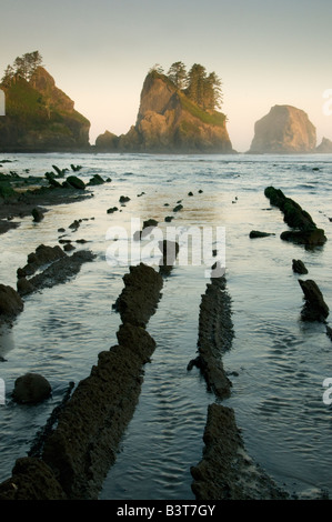 Washington, il Parco Nazionale di Olympic, Shi Shi Beach Sunrise sul punto di archi Foto Stock