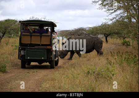 Africa, Sud Africa, KwaZulu Natal Hluhluwe, turisti in safari la visualizzazione di rinoceronte bianco a Zulu Nyala Game Reserve Foto Stock