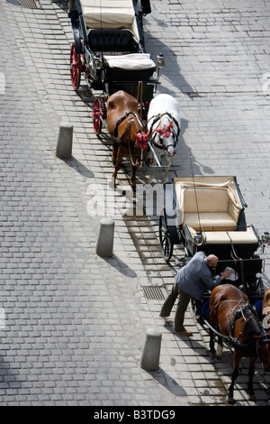 Lipizzani Coach cavalli e carrozze Saint Stephen's Square Vienna Austria Foto Stock