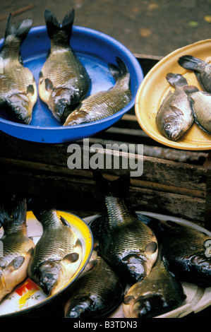 Oceania, Indonesia Sulawesi, Tomohon. Colorato mercato. Foto Stock