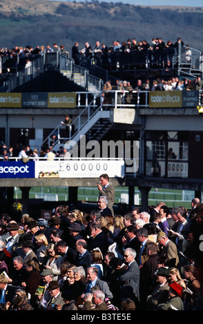 Spettatori a Cheltenham Gold Cup il giorno della gara, Cheltenham, Inghilterra Foto Stock