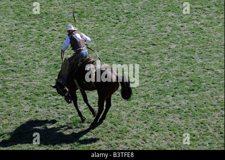 American professional cowboy a cavallo strappi sella bronco in erba coperto rodeo arena wild ride dura wiley dificultf cavallo Foto Stock