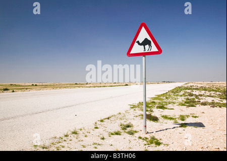 Il Qatar, Al Zubarah. Attraversamento del cammello Sign-Road a Al-Zubarah NW Qatar Foto Stock