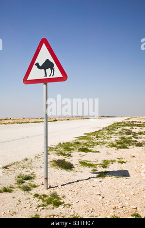 Il Qatar, Al Zubarah. Attraversamento del cammello Sign-Road a Al-Zubarah NW Qatar Foto Stock