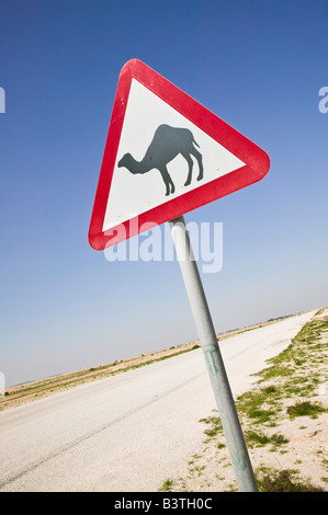 Il Qatar, Al Zubarah. Attraversamento del cammello Sign-Road a Al-Zubarah NW Qatar Foto Stock