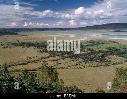 Tanzania Tanzania settentrionale, il famoso Cratere di Ngorongoro è stato dichiarato sito Patrimonio Mondiale nel 1978. I suoi 102 km quadrati di pavimento del cratere è spettacolare per la fauna selvatica. Il cratere è in realtà una "caldera' - la più grande ininterrotto, unflooded caldera nel mondo - che è stata formata di due milioni e mezzo di anni fa quando una grande esplosione ha distrutto le pareti di un vulcano in piedi circa 15.000 piedi di alta. . Foto Stock