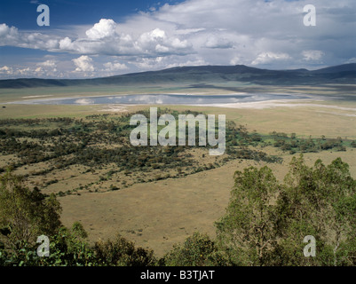 Tanzania Tanzania settentrionale, il famoso Cratere di Ngorongoro è stato dichiarato sito Patrimonio Mondiale nel 1978. I suoi 102 km quadrati di pavimento del cratere è spettacolare per la fauna selvatica. Il cratere è in realtà una "caldera' - la più grande ininterrotto, unflooded caldera nel mondo - che è stata formata di due milioni e mezzo di anni fa quando una grande esplosione ha distrutto le pareti di un vulcano in piedi circa 15.000 piedi di alta. . Foto Stock