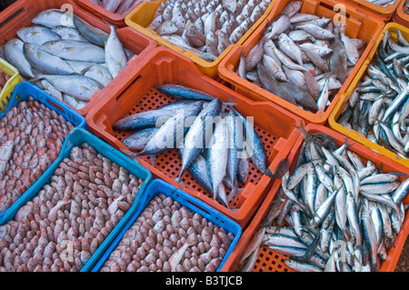 Mercato del pesce a Tripoli Foto Stock