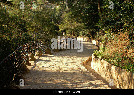 Percorso di pietra nel Parco Güell, Barcellona, Spagna Foto Stock