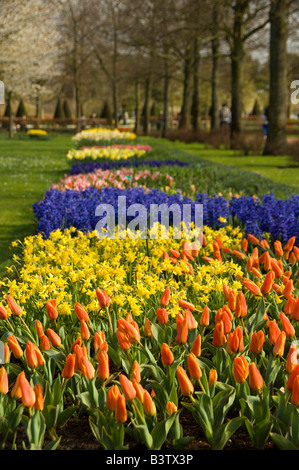 Paesi Bassi (aka Holland), Lisse. Giardini Keukenhof, il più grande del mondo di lampadina parco dei fiori. Foto Stock