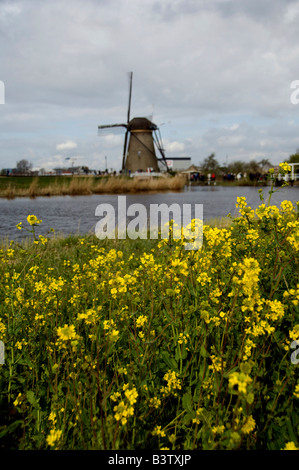 Paesi Bassi (aka Holland), Kinderdijk. 19 mulini a vento storico situato alla confluenza del Noord & Lek. Sito UNESCO Foto Stock