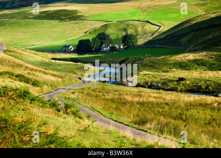 Sole di sera fa risaltare i colori su questo altopiano remoto fattoria nel Northumberland National Park Regno Unito Foto Stock