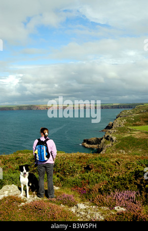 Guardando sopra St sposa s Bay Deer Park vicino a Martins Haven Pembrokeshire Foto Stock