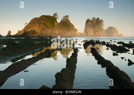 Seastacks all'alba, Punto di archi, Shi Shi Beach, Parco Nazionale di Olympic, Washington Foto Stock