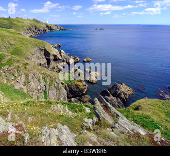 La costa frastagliata guardando verso il punto di inizio faro sulla South Hams costa in South Devon Foto Stock