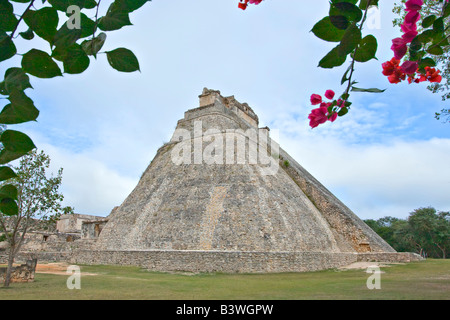 Messico, Yucatan, Uxmal. Guardando a nord-est della piramide del mago con fiori di bouganville in primo piano Foto Stock