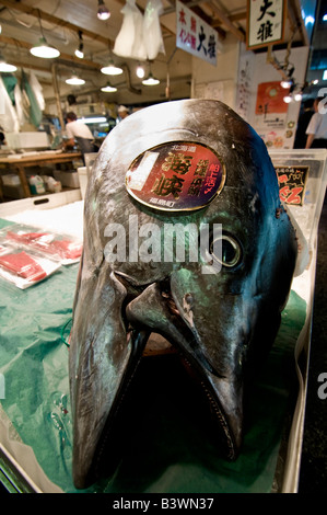 Tonno di testa. Il Mercato del Pesce di Tsukiji Foto Stock