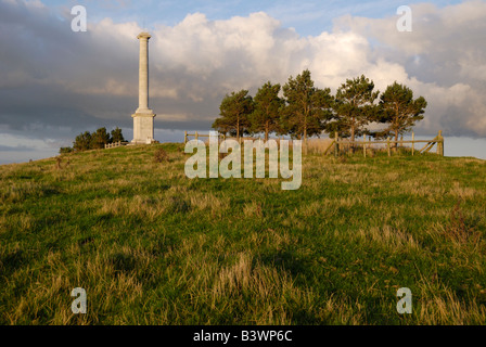 War Memorial Town hill Montgomery Galles Foto Stock