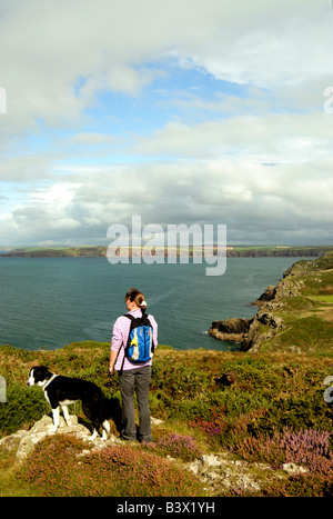 Guardando sopra St Brides Bay Deer Park vicino a Martins Haven Pembrokeshire Foto Stock