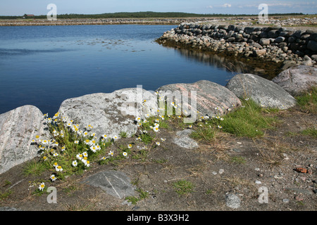 Mare Bianco vicino al masso Muksalma diga sulle isole Solovetsky nel Mar Bianco, Russia Foto Stock