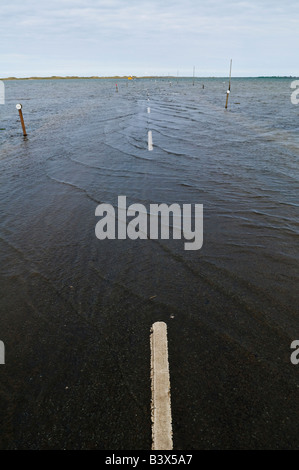 Acque di avvicinamento alta marea coprire road a Lindinsfarne - Isola Santa, Northumbria, Inghilterra Foto Stock