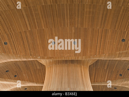 Il soffitto in legno nel nuovo Welsh Assembly Government Senedd edificio nella Baia di Cardiff Galles Foto Stock