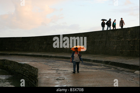 Ombrelloni fino - a piedi lungo e accanto al famoso porto di Cobb pareti a Lyme Regis, Dorset, Inghilterra. Foto Stock