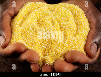 Uomo con giallo polenta di mais Foto Stock